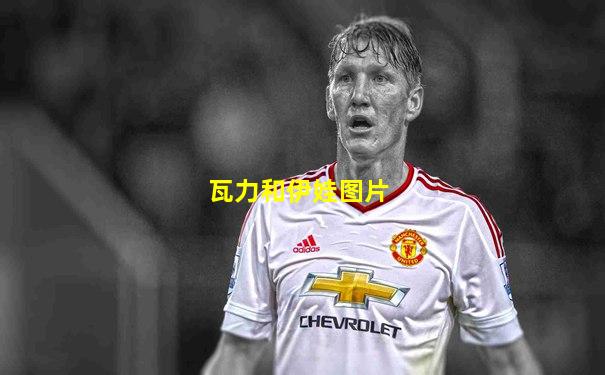 瓦力和伊娃图片