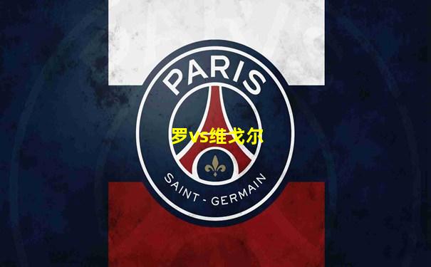 罗vs维戈尔