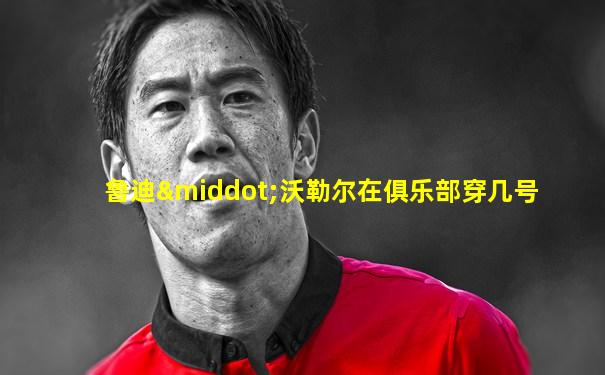 鲁迪·沃勒尔在俱乐部穿几号