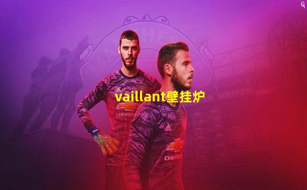 vaillant壁挂炉