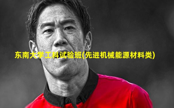 东南大学工科试验班(先进机械能源材料类)