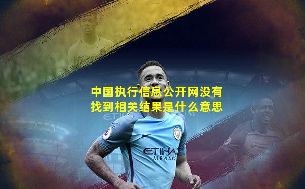 中国执行信息公开网没有找到相关结果是什么意思