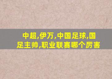 中超,伊万,中国足球,国足主帅,职业联赛哪个厉害
