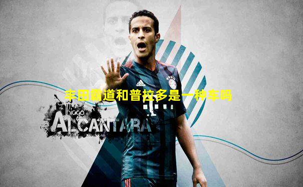 丰田霸道和普拉多是一种车吗