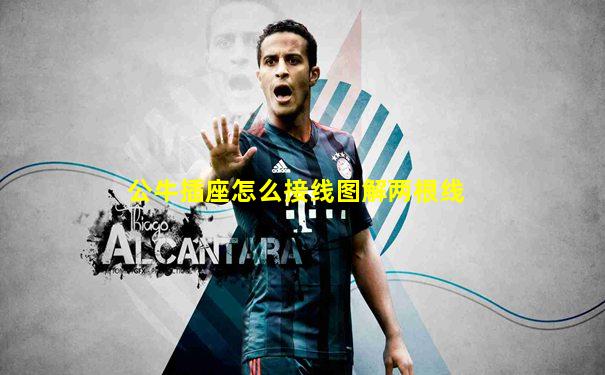 公牛插座怎么接线图解两根线