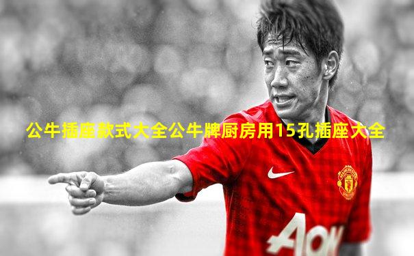 公牛插座款式大全公牛牌厨房用15孔插座大全