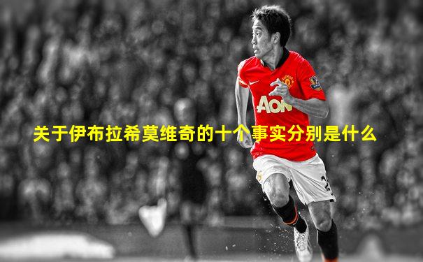 关于伊布拉希莫维奇的十个事实分别是什么