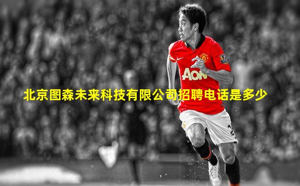 北京图森未来科技有限公司招聘电话是多少