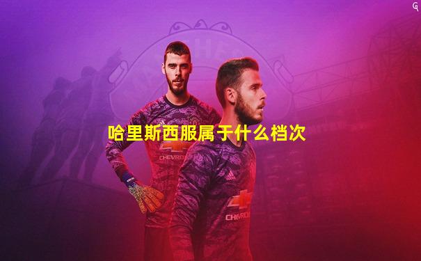哈里斯西服属于什么档次