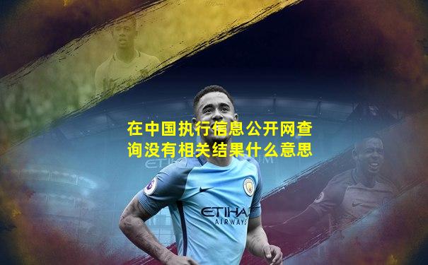 在中国执行信息公开网查询没有相关结果什么意思