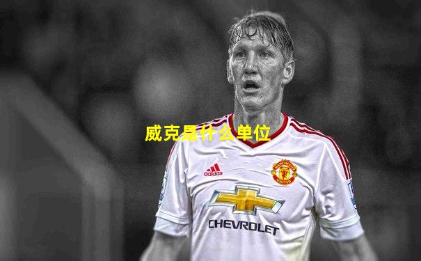 威克是什么单位