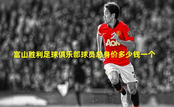 富山胜利足球俱乐部球员总身价多少钱一个