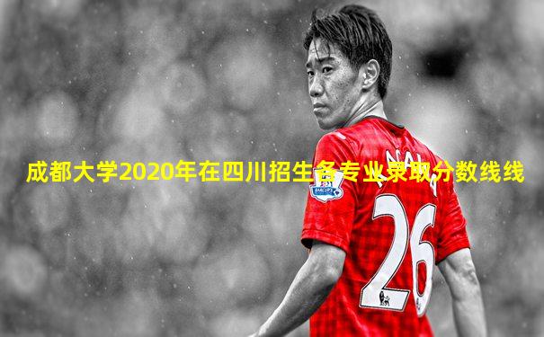 成都大学2020年在四川招生各专业录取分数线线