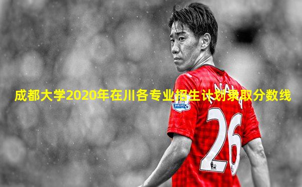 成都大学2020年在川各专业招生计划录取分数线