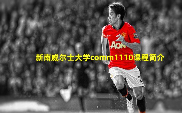 新南威尔士大学comm1110课程简介