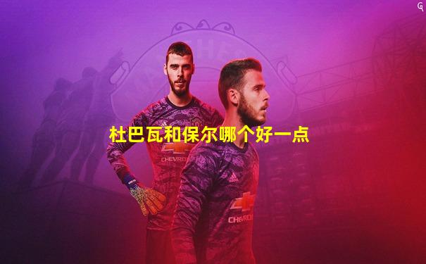 杜巴瓦和保尔哪个好一点