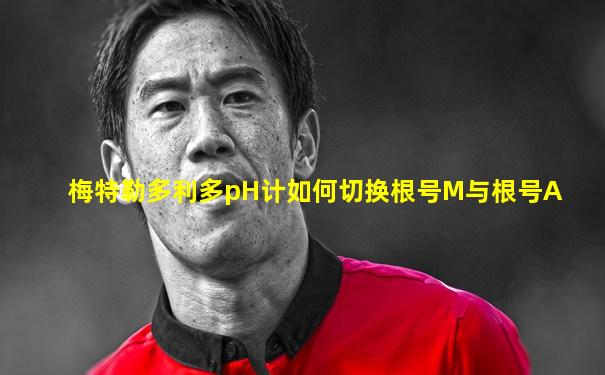 梅特勒多利多pH计如何切换根号M与根号A