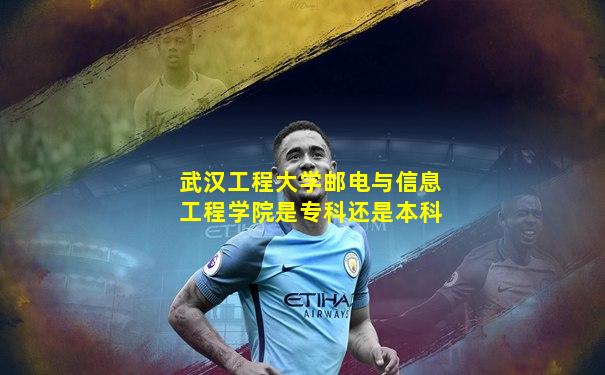 武汉工程大学邮电与信息工程学院是专科还是本科