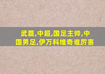 武磊,中超,国足主帅,中国男足,伊万科维奇谁厉害