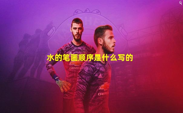 水的笔画顺序是什么写的