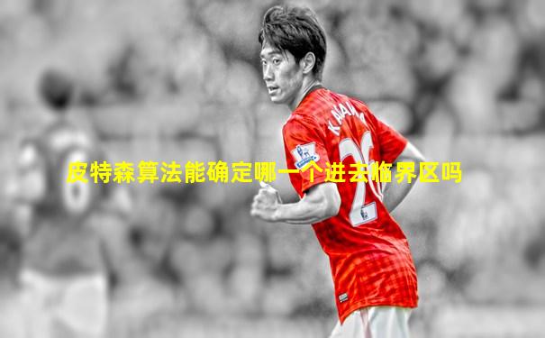 皮特森算法能确定哪一个进去临界区吗
