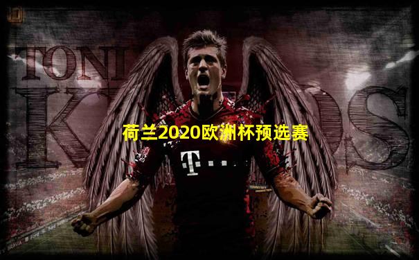荷兰2020欧洲杯预选赛