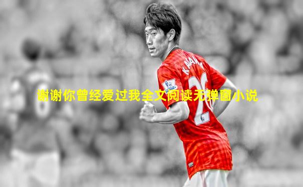 谢谢你曾经爱过我全文阅读无弹窗小说