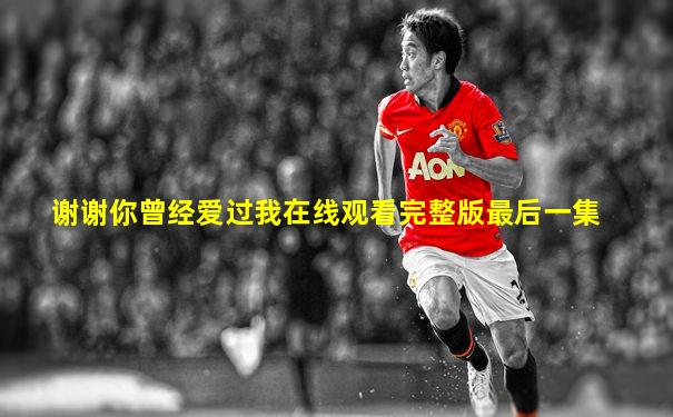 谢谢你曾经爱过我在线观看完整版最后一集