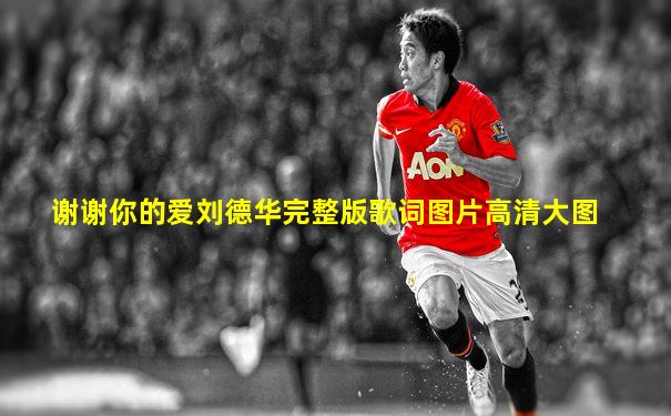 谢谢你的爱刘德华完整版歌词图片高清大图