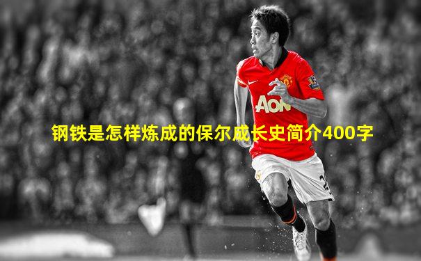 钢铁是怎样炼成的保尔成长史简介400字