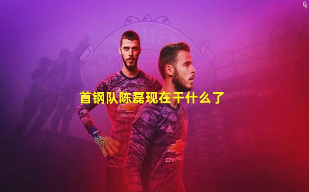 首钢队陈磊现在干什么了