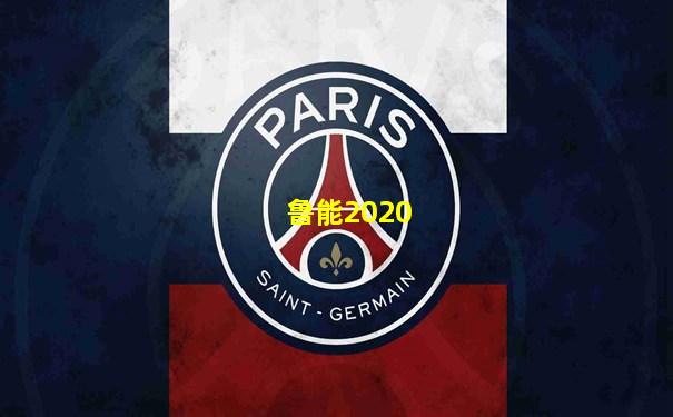 鲁能2020